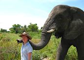 Kirsty making friends with an elephant in Botswana